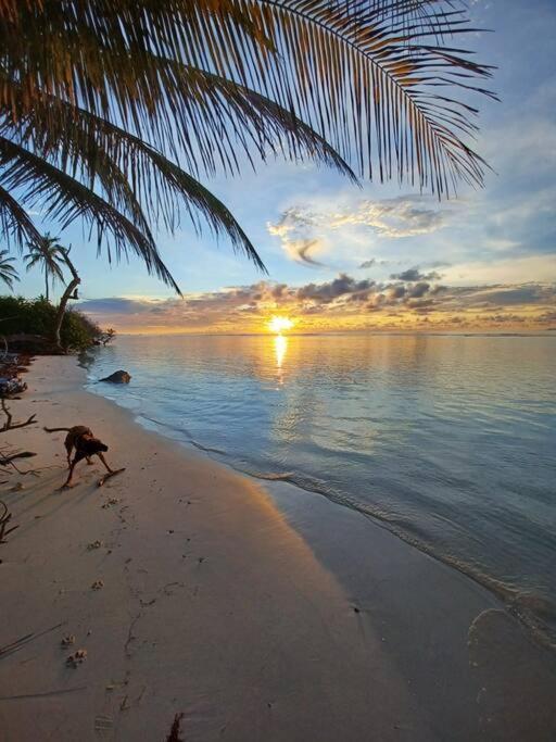 Bungalow Atypique Ti Bambou A 500M De La Plage Сент-Анн Екстер'єр фото